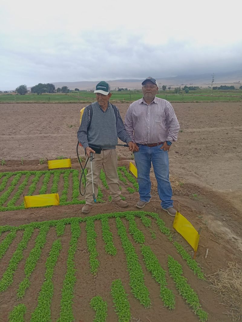 Asesores de Agrodiser en campo